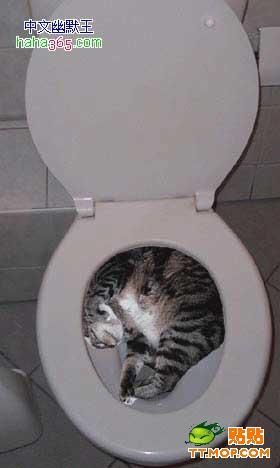 йƷ-ͼƬ
