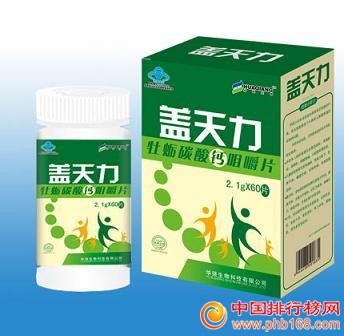 6,盖天力