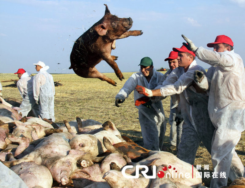 中国品牌总网欣赏图片
