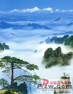中国品牌总网-欣赏图片
