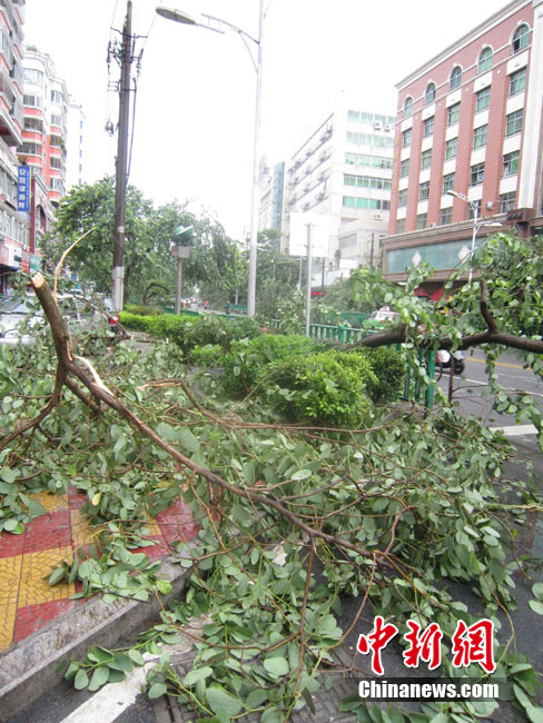 中国品牌总网欣赏图片