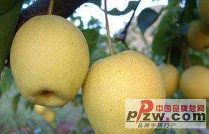 йƷ-ͼƬ