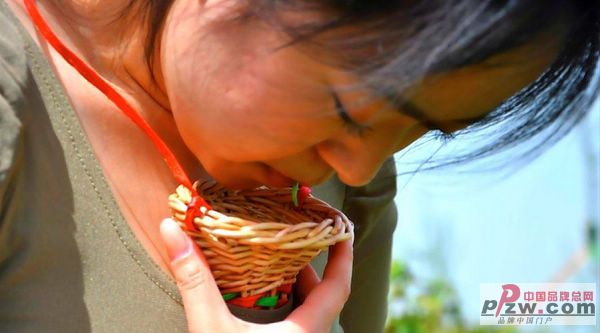 中国品牌总网-欣赏图片
