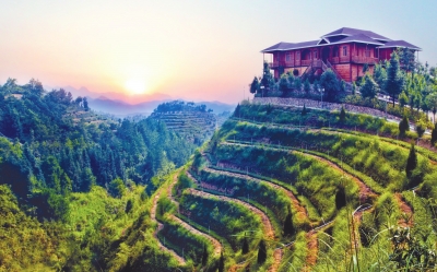 农业产业化如何提速现代农业 _品牌行业资讯_